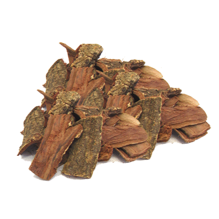 Pakistan Pansar Acacia Tree Bark (چھال کیکر) - Chaal Kikar