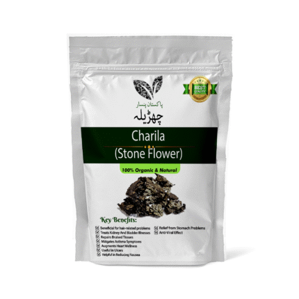 Pakistan Pansar Charila (چھڑیلہ)- Parmelia Perlata / Pathar Phool / Stone Flower