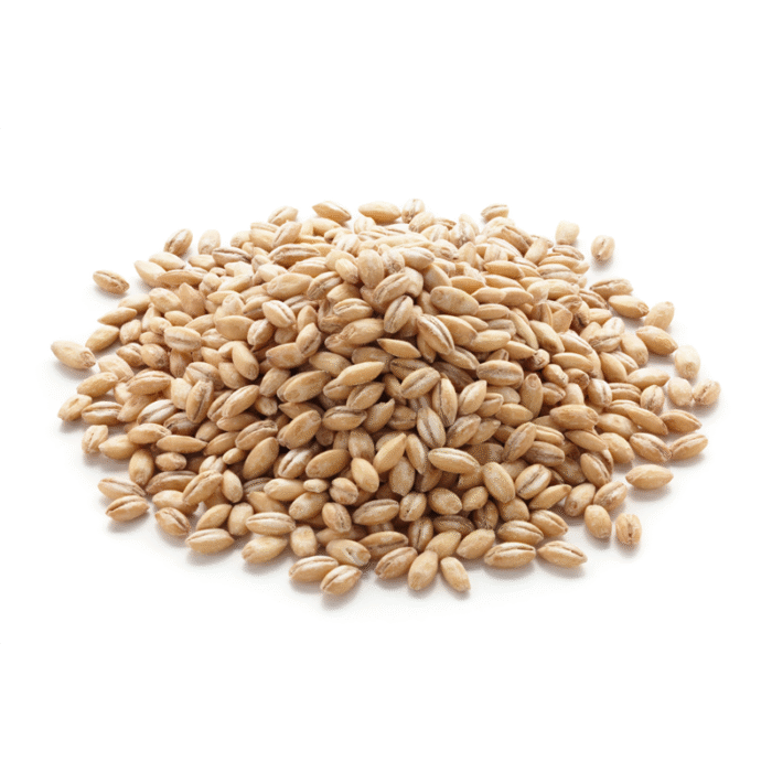 High-quality Barley (Joo) grains from Pakistan Pansar for cooking and health.