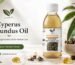 Pakistan Pansar Cyperus Rotundus Oil bottle with Nagarmotha roots for herbal care in Pakistan